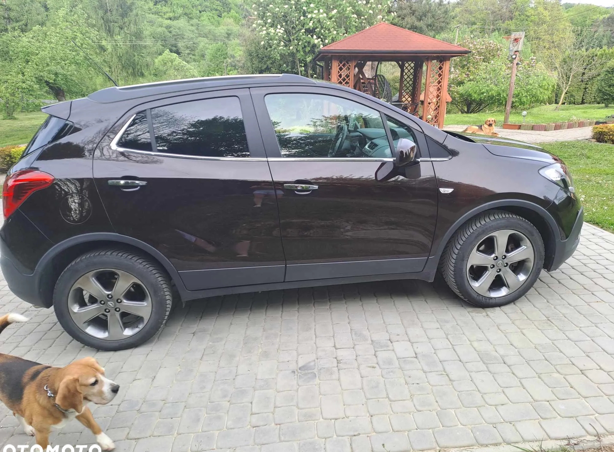 Opel Mokka cena 46000 przebieg: 117000, rok produkcji 2013 z Sokołów Małopolski małe 22
